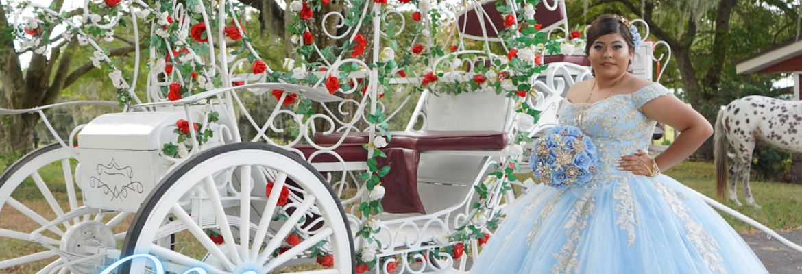 Quinces & Weddings by Letty Hipolito