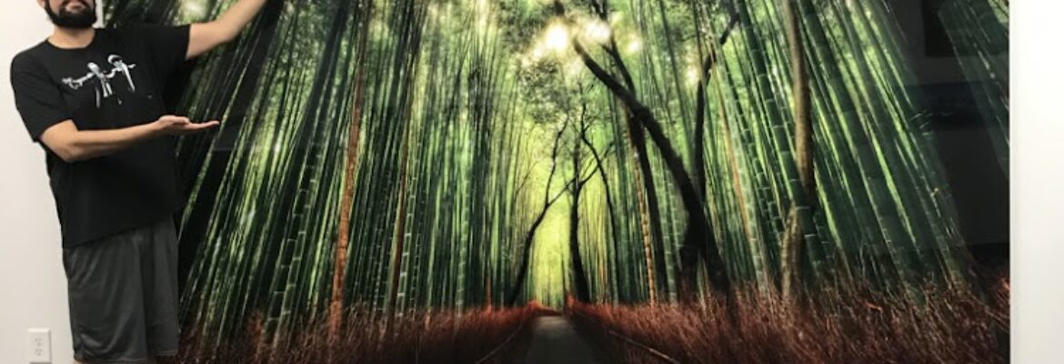 Vivid Metal Prints