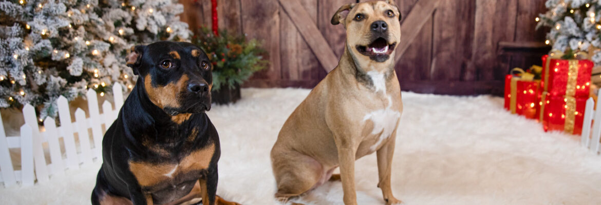 Jim Robb Photography