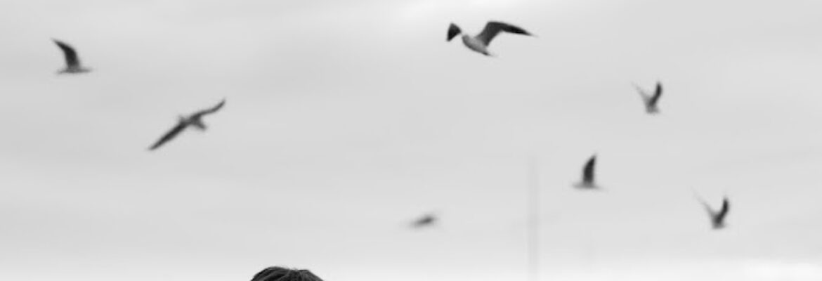 Poem of us | Wedding photography&videography