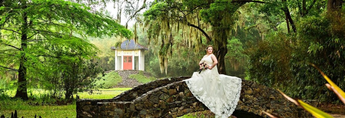Suzy G Photography