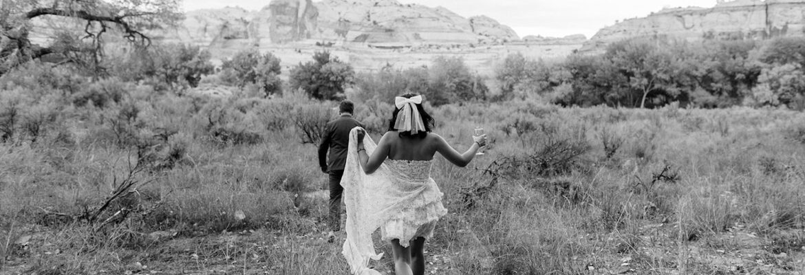 M. Felt Photography