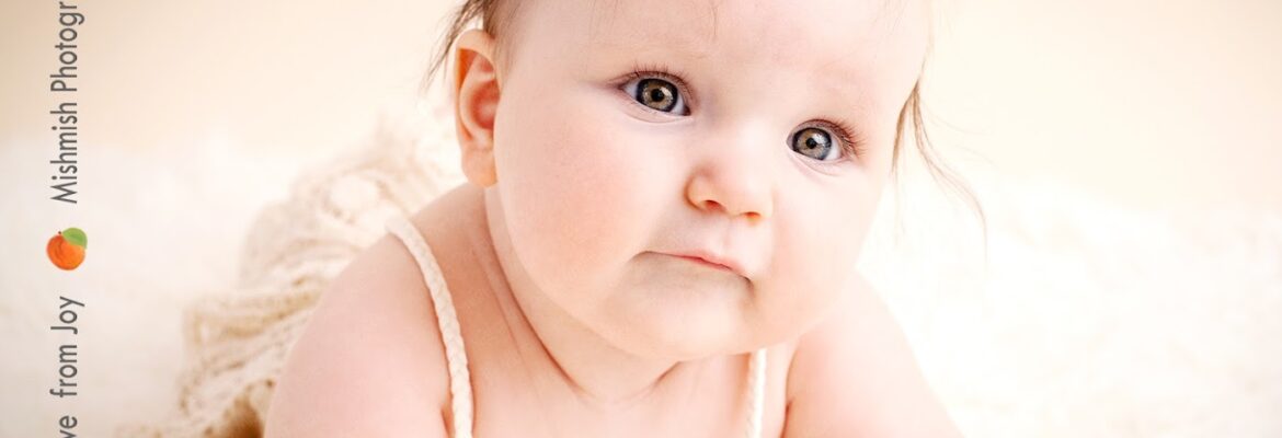 Mishmish Photography