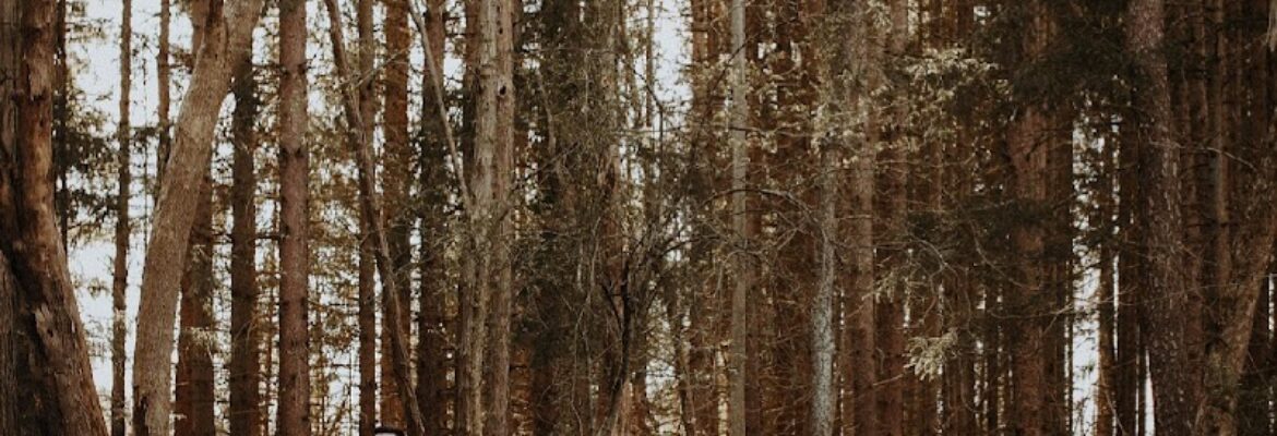 Dev Lynch Photography