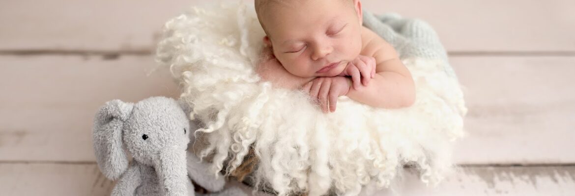 Kim del Angel Photography