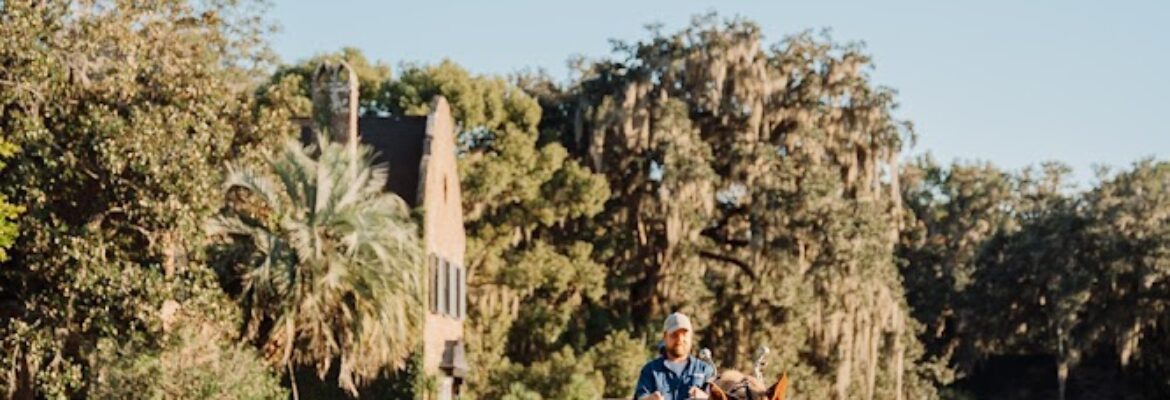 Southern Palm Photography