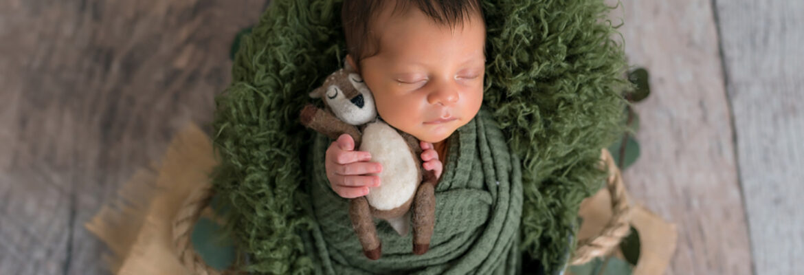 Lisa Hystek Photography