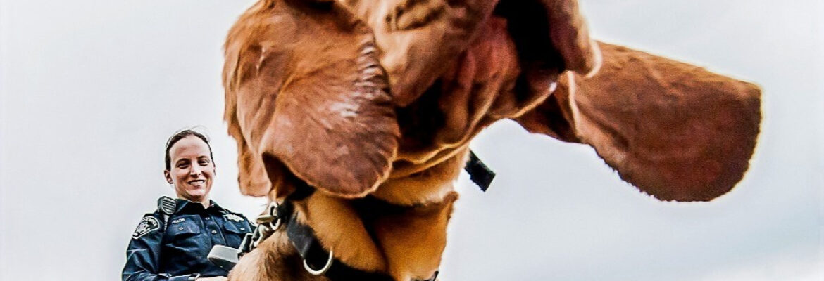 In The Grit Photography
