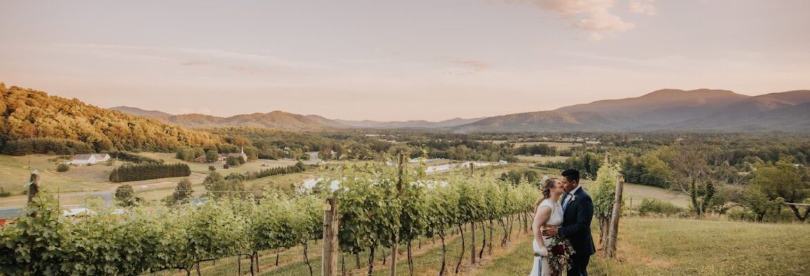 Amative Creative | Virginia Wedding Photography & Videography