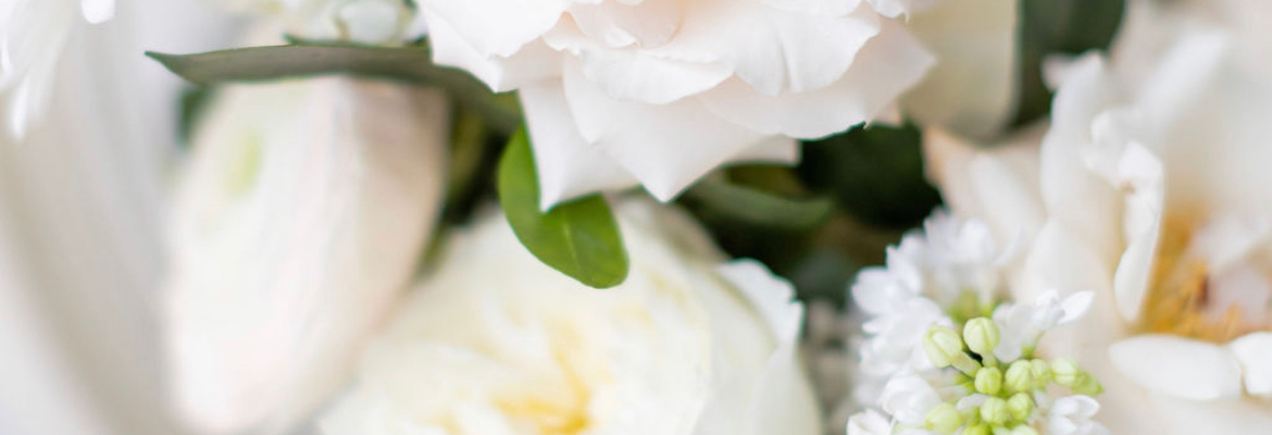 The white rose company
