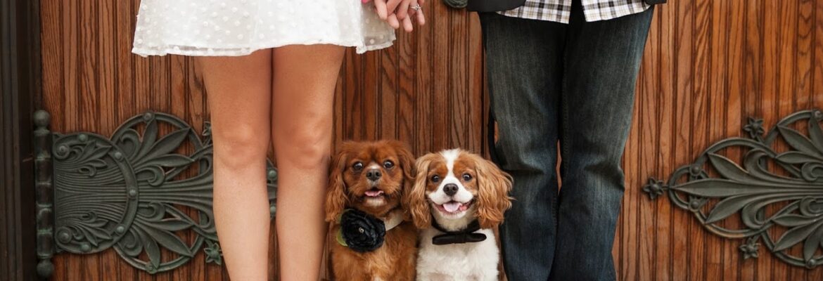 Mandy Whitley Photography