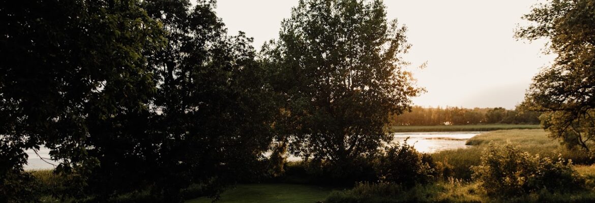 Taylor Lauren Photography