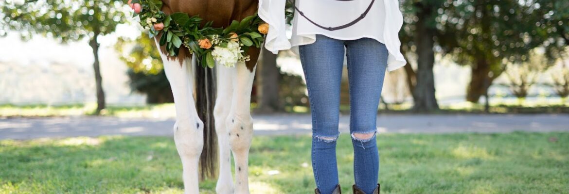 Sweet Fresno Photography, Atlanta, Georgia Equestrian Photographer