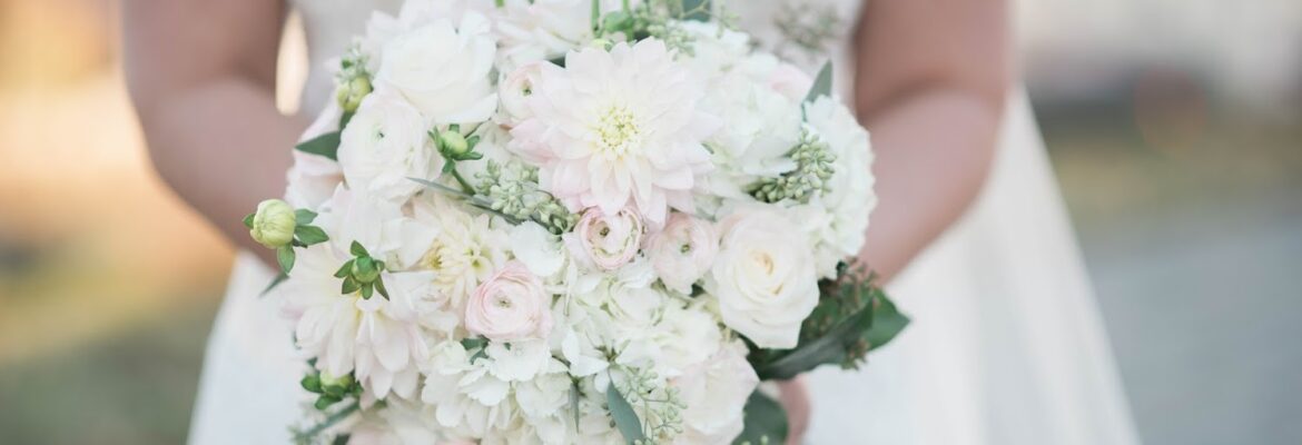 Anne Casey Photography