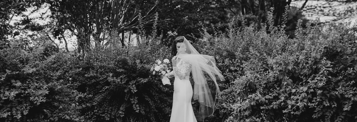 Paula B Photography