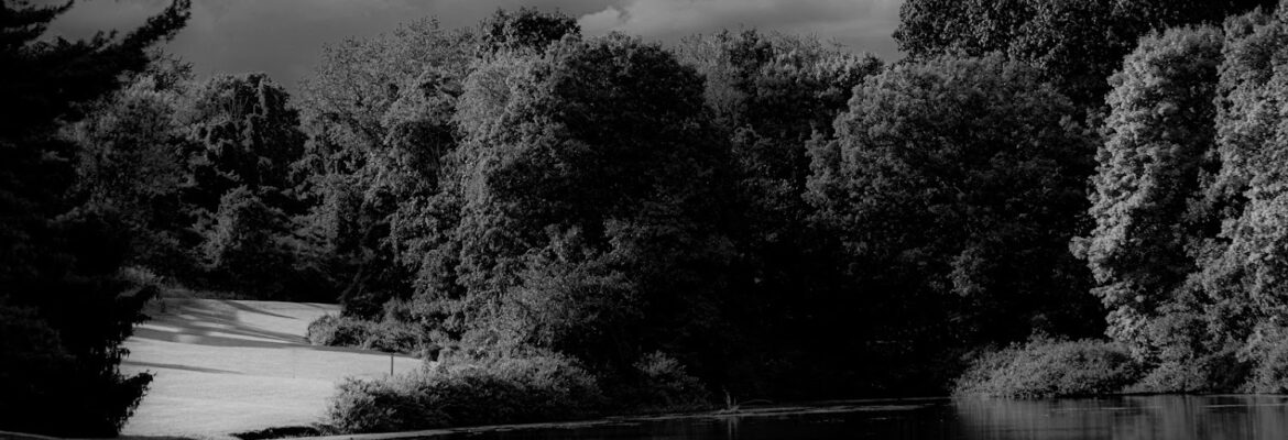 Pynluv Photography
