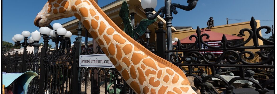 David Robert Farmerie