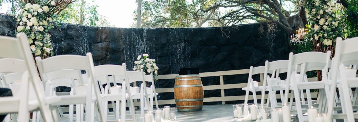 Sandra Yvette Photography