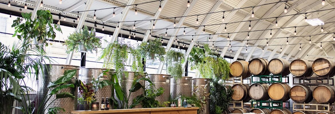 D. Selbak Photography