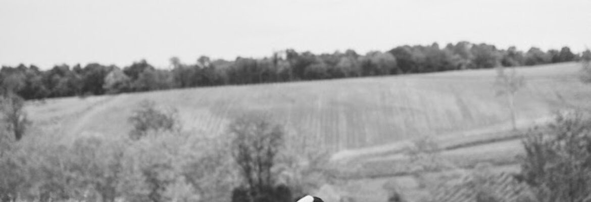 Izzy + Co. Photography