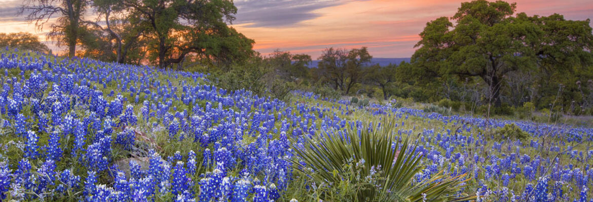 Images from Texas