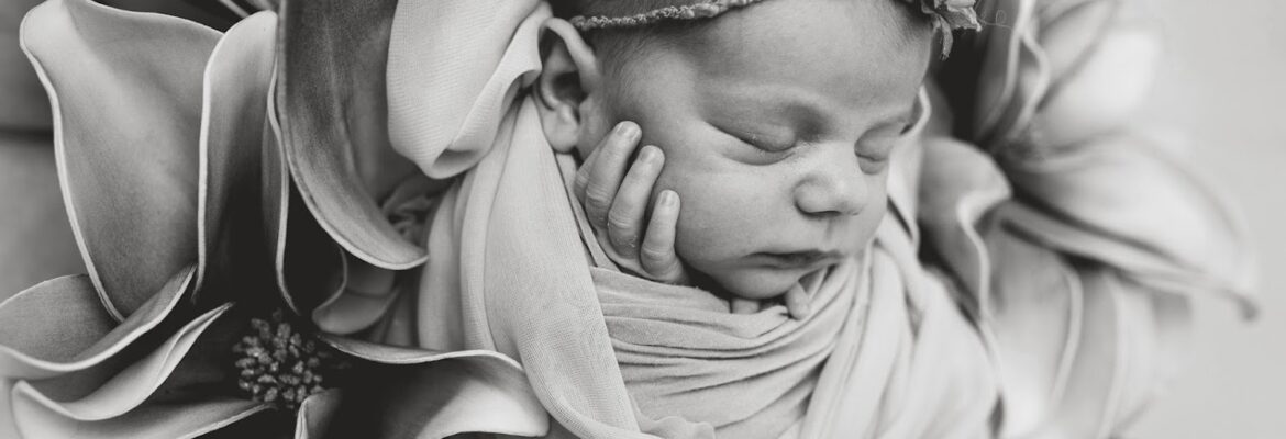 Kristina Phelan Photography