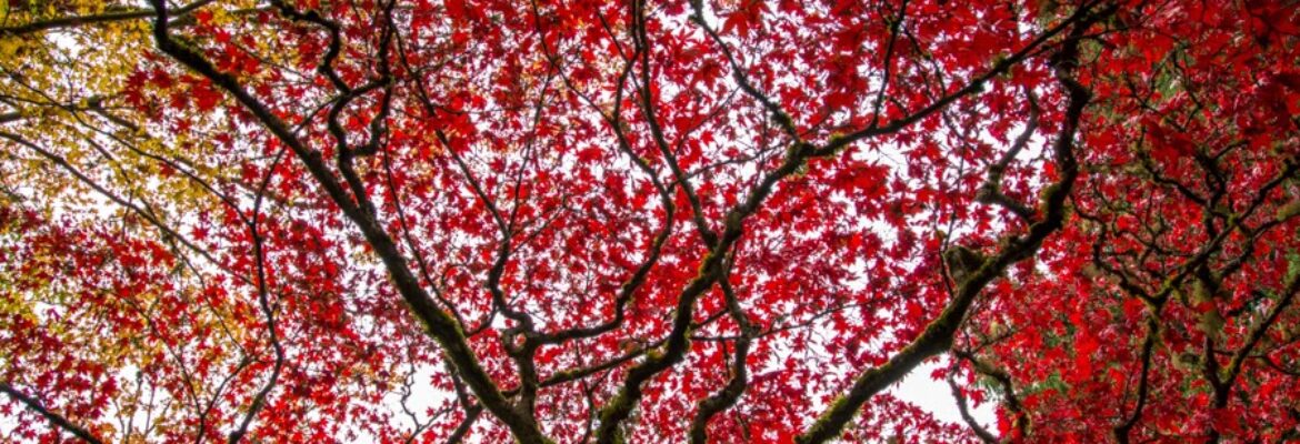 J N D Photography