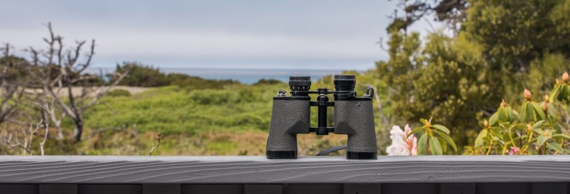 Mendocino Drone