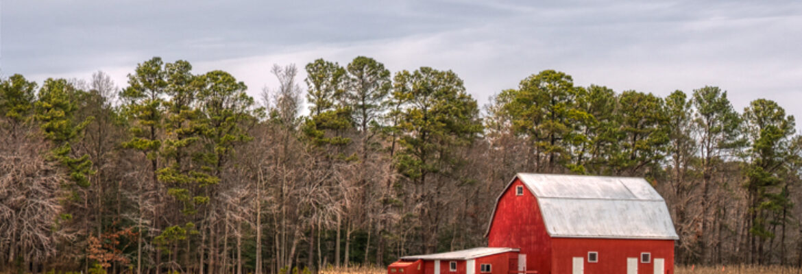 Ted Mueller Photography