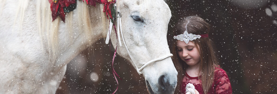 Deana Fleenor Photography