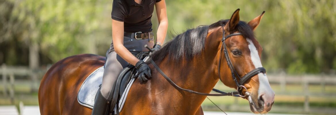 Shannon Lifestyle Photography