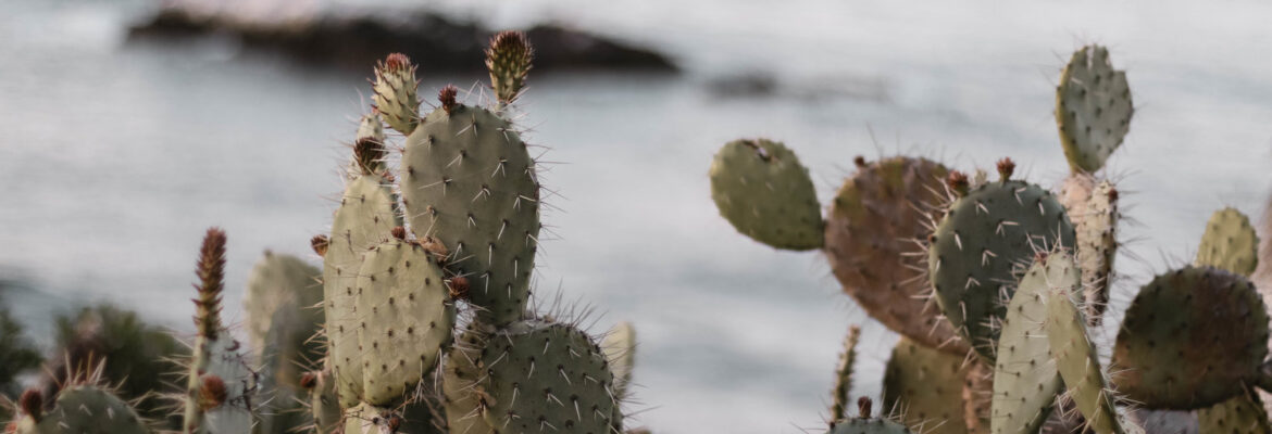 Helena Tewolde Photography LLC