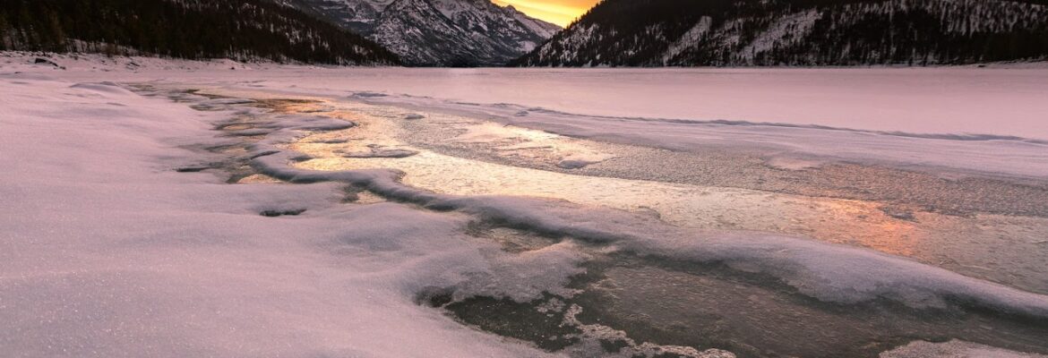 Scott Wilson Photography