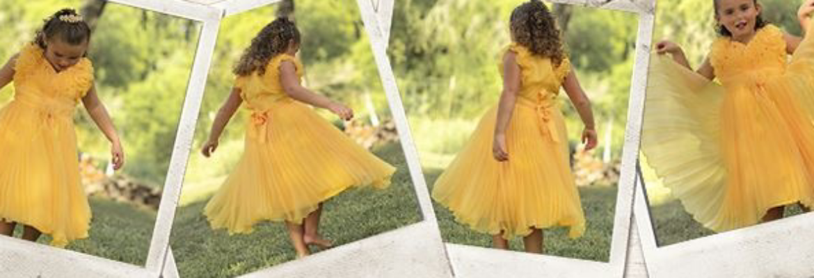 Live Oak Photography