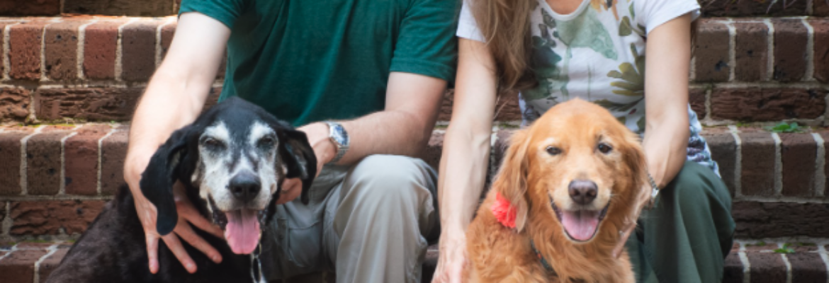 Queen City Pet Photography, LLC