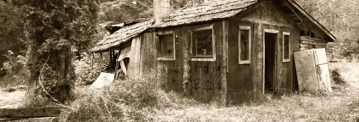 Laughing Dog Films Photographer/Videographer | Portraits | Live Event | Weddings |