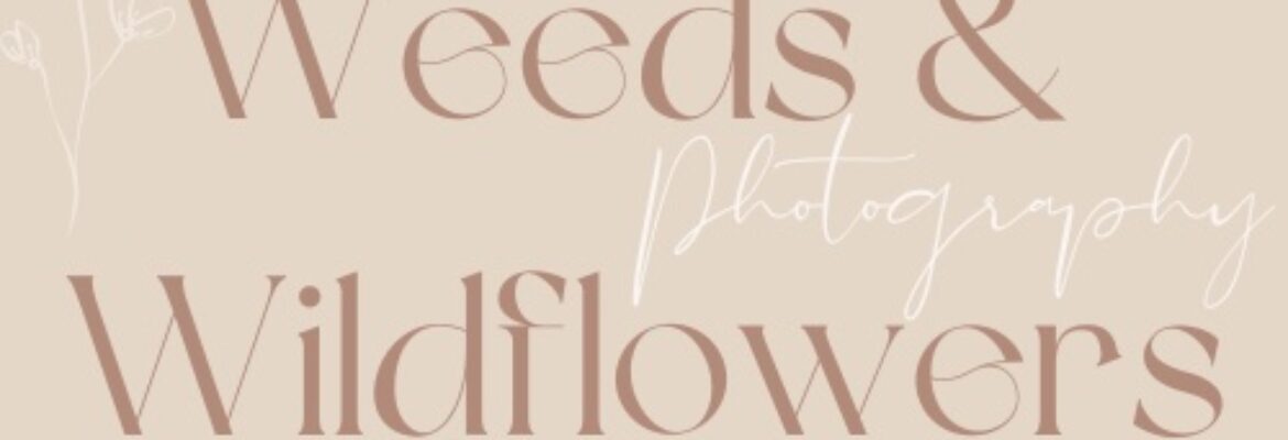 Weeds and Wildflowers Photography