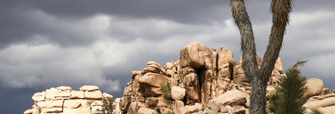 Jon Norris Photography