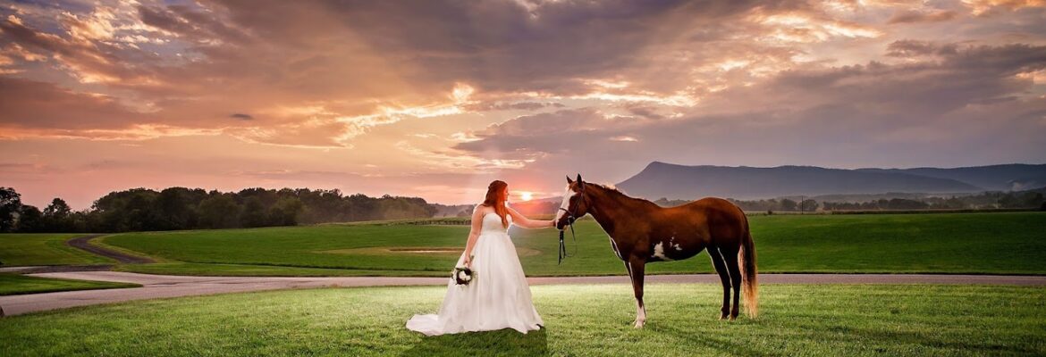 J. Ellis Photography
