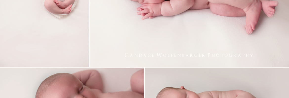 Candace Wolfenbarger Photography