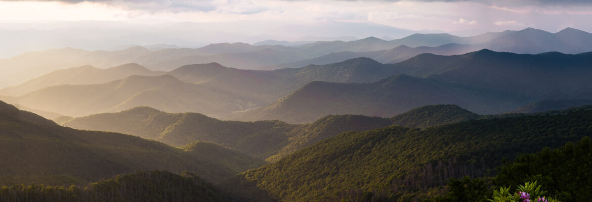 Nadeen Flynn Photography