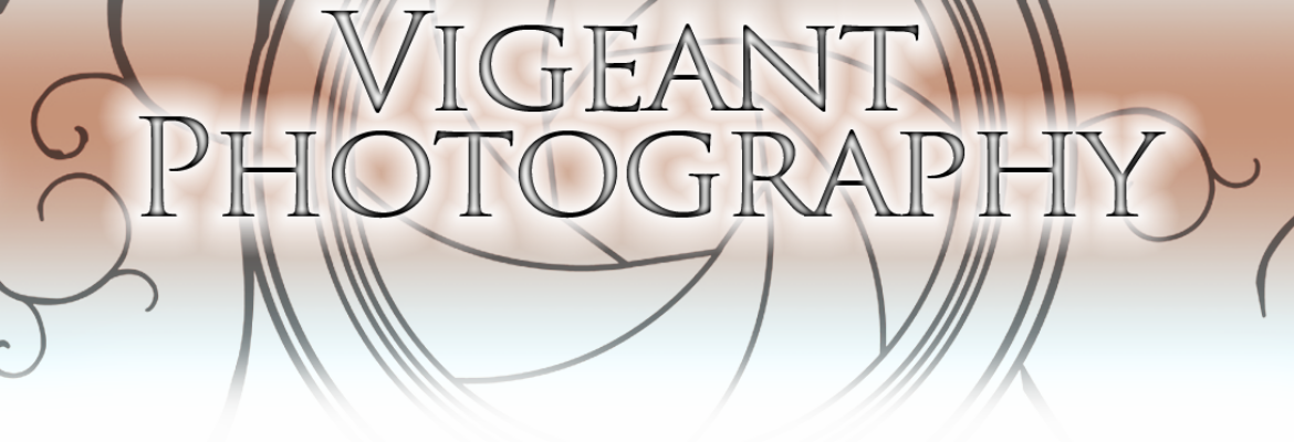 Vigeant Photography