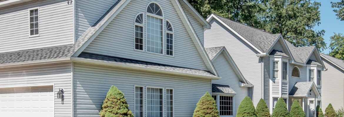 River Tree Photography