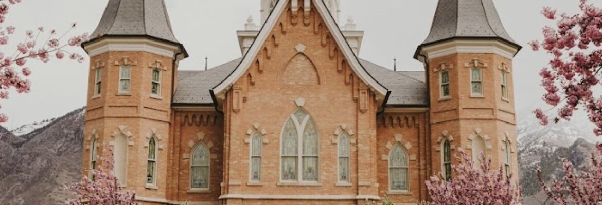 Aubrey Elise Photography | Utah Wedding Photographer