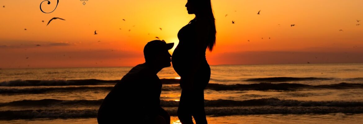 Photos By Glenna Sanibel Island Photographer