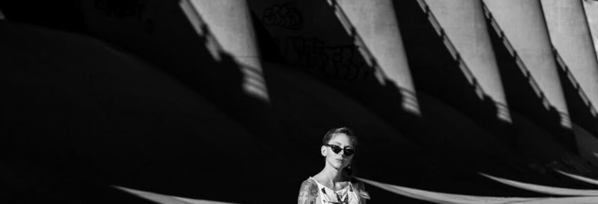 steve meier photography