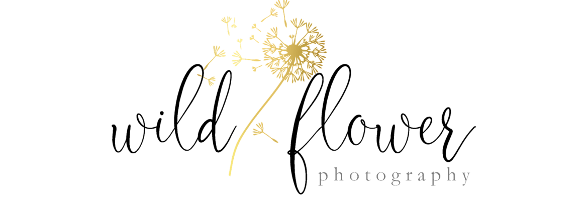 Wild Flower Photography