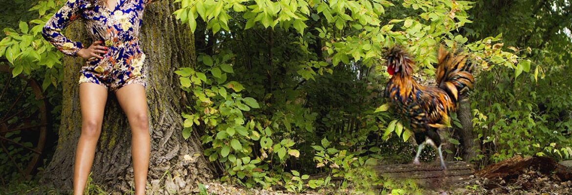 Brooke Ross Photography