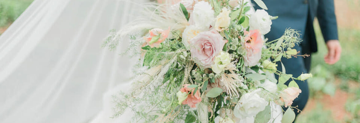 Lyn Leland Photography