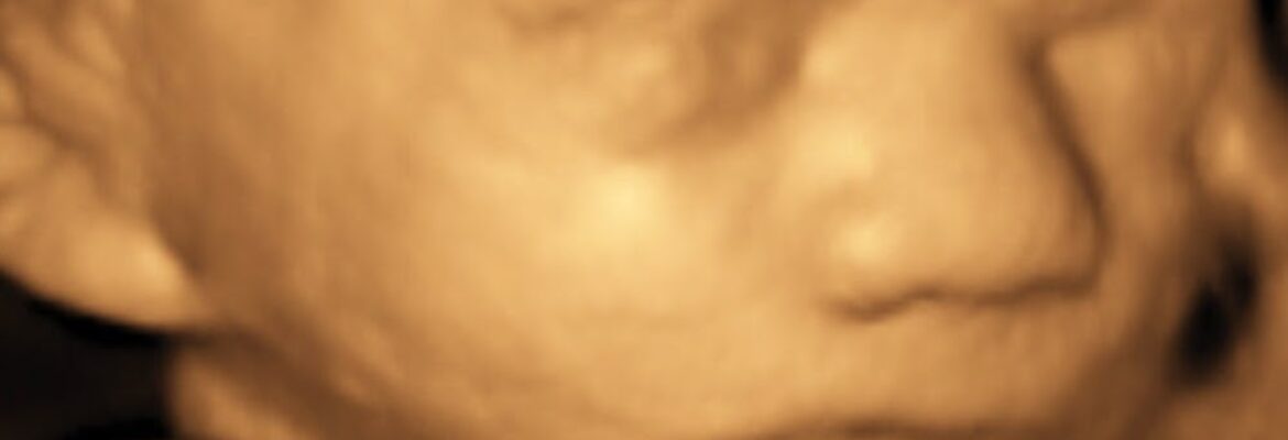 Treasured Memories Imaging